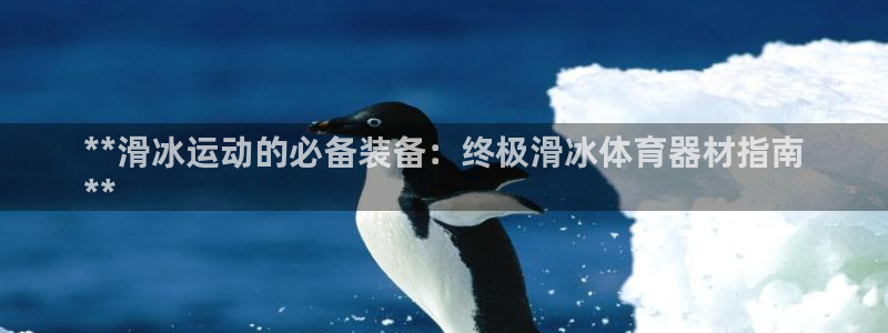 杏宇平台寇 5O6917 杏宇：**滑冰运动的必备装