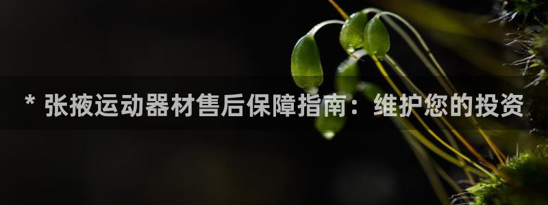 杏宇挑战第三关怎么打：* 张掖运动器材售后保障指南：