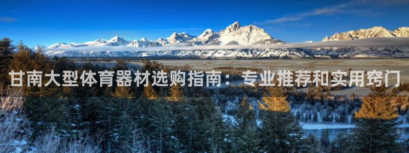 杏宇娱乐返点多少钱：甘南大型体育器材选购指南：专业推