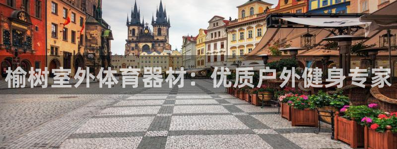 杏宇天下是不是复仇的意思：榆树室外体育器材：优质户外