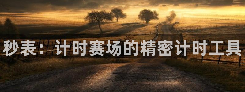 杏宇娱乐是什么平台：秒表：计时赛场的精密计时工具