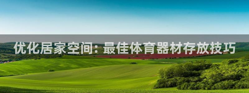 杏宇首开什么意思：优化居家空间: 最佳体育器材存放技