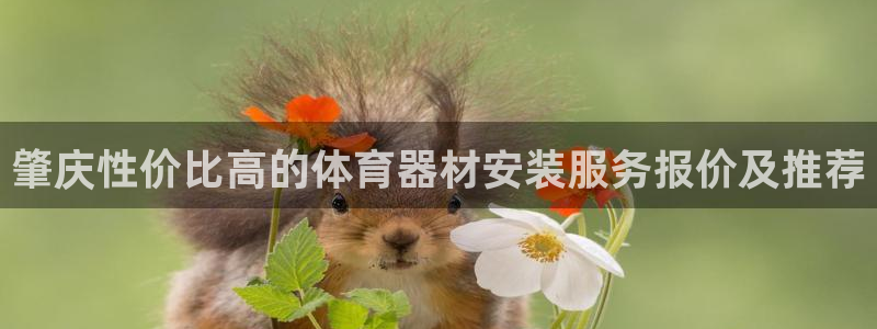 杏宇娱乐如何登录平台账号：肇庆性价比高的体育器材安装