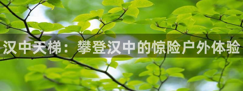 杏宇集团是什么电影院：汉中天梯：攀登汉中的惊险户外体