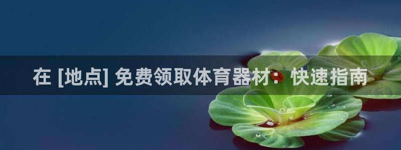 杏宇娱乐平台官网登录入口网址：在 [地点] 免费领取