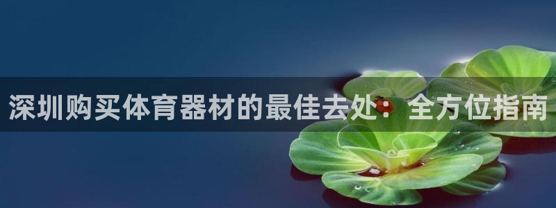 杏宇娱乐含山县：深圳购买体育器材的最佳去处：全方位指