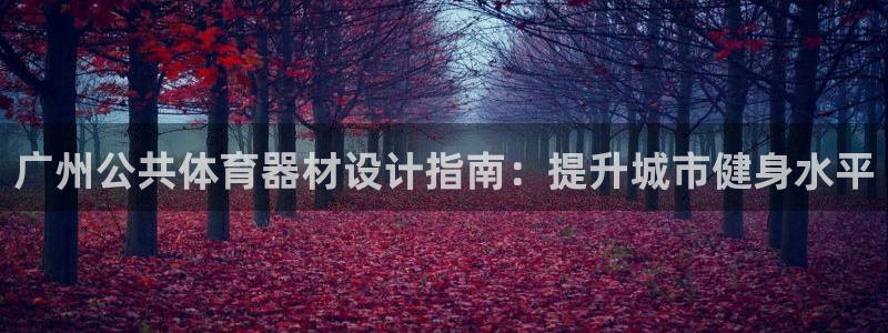 杏宇娱乐平台官网下载：广州公共体育器材设计指南：提升