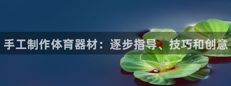 杏宇娱乐间7O777：手工制作体育器材：逐步指导、技