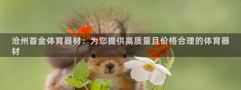 杏宇平台注册：沧州首金体育器材：为您提供高质量且价格