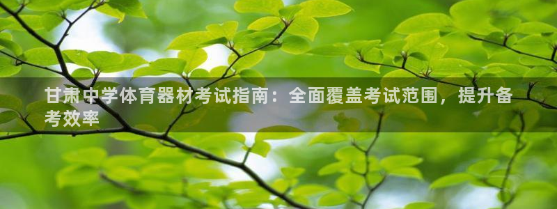 杏宇盛典下载：甘肃中学体育器材考试指南：全面覆盖考试范围，提